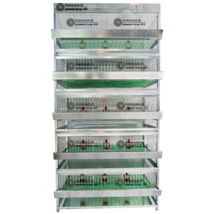 Broiler Quail cage